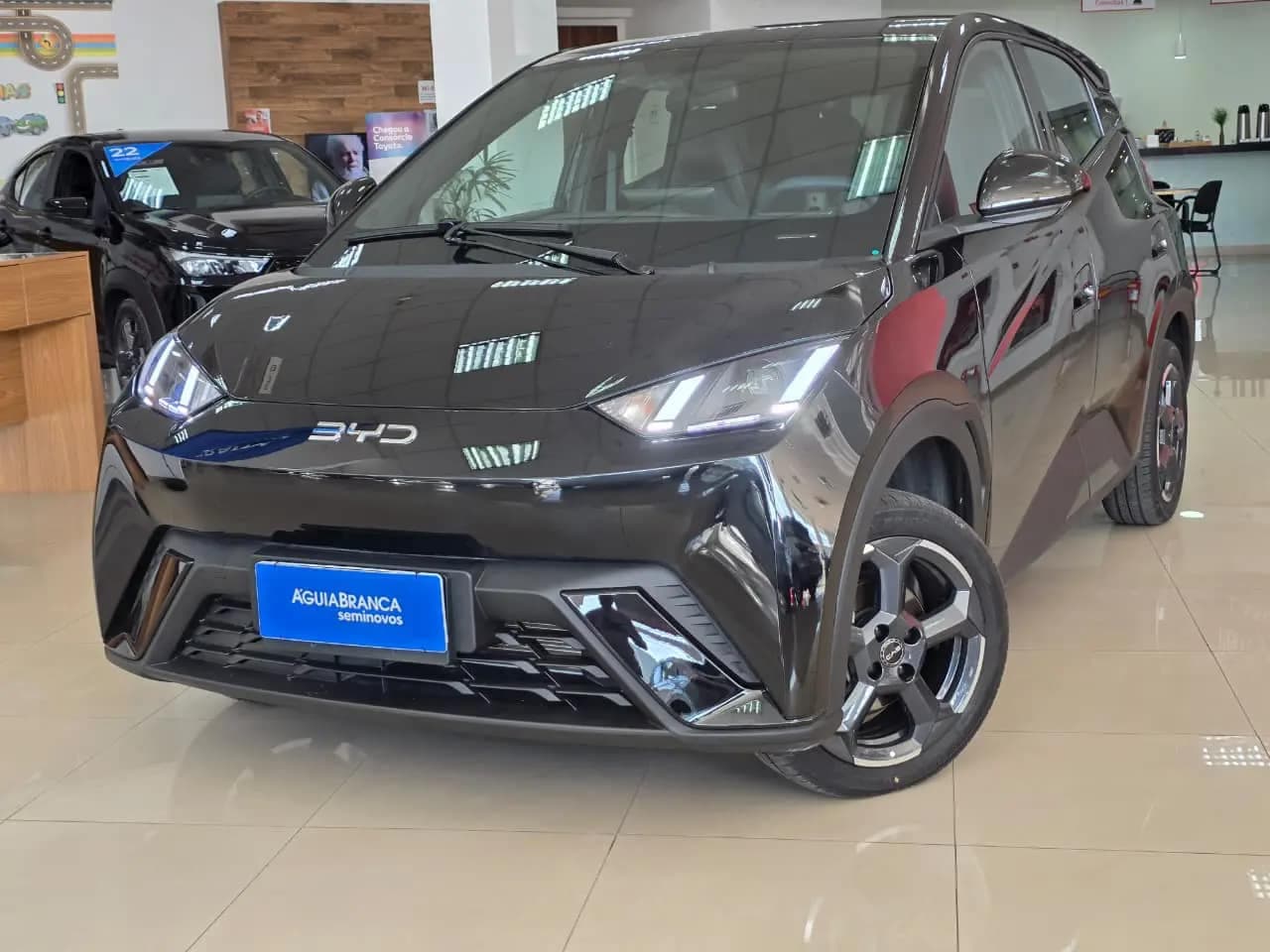 BYD Dolphin 38 KW ELÉTRICO