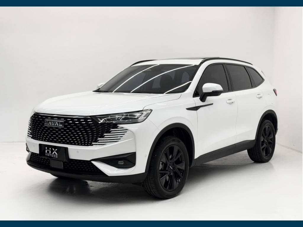 BYD Han H6 1.5 (Hibrido)
