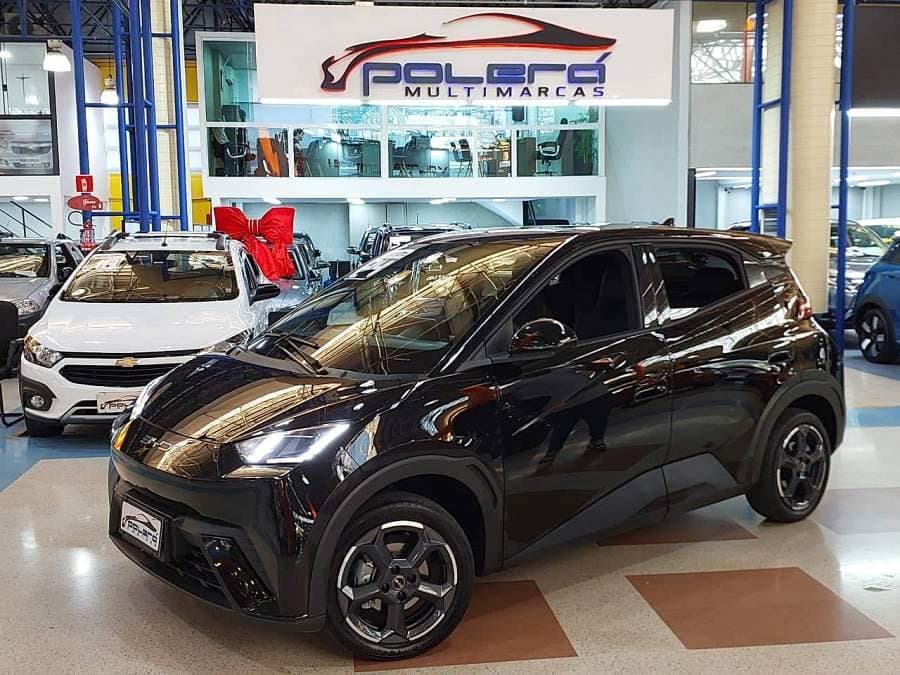 BYD Dolphin MINI GS EV 4P 2024