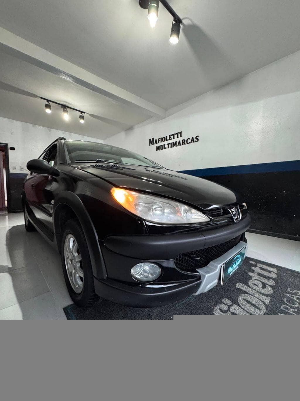 Peugeot 206 SW ESCAPADE 1.6 16V Flex 5p