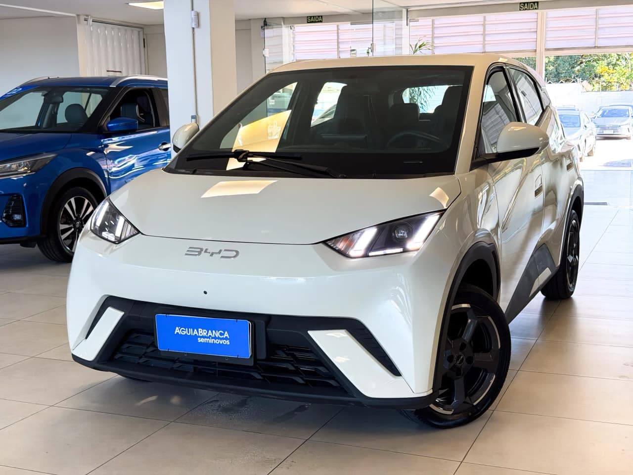 BYD Dolphin 38 KW ELÉTRICO