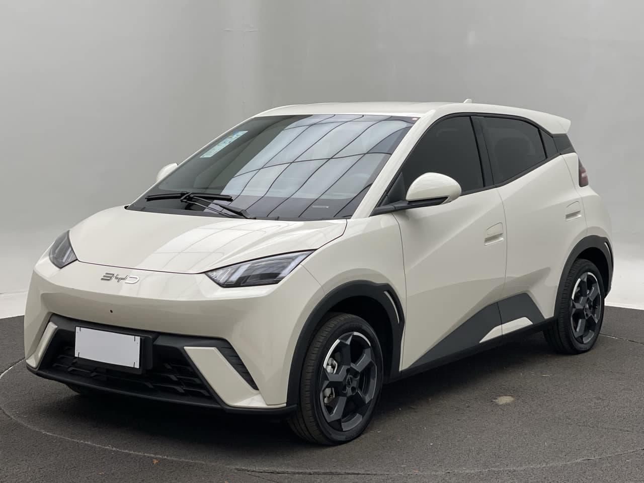 BYD Dolphin Dolphin Mini (Elétrico)