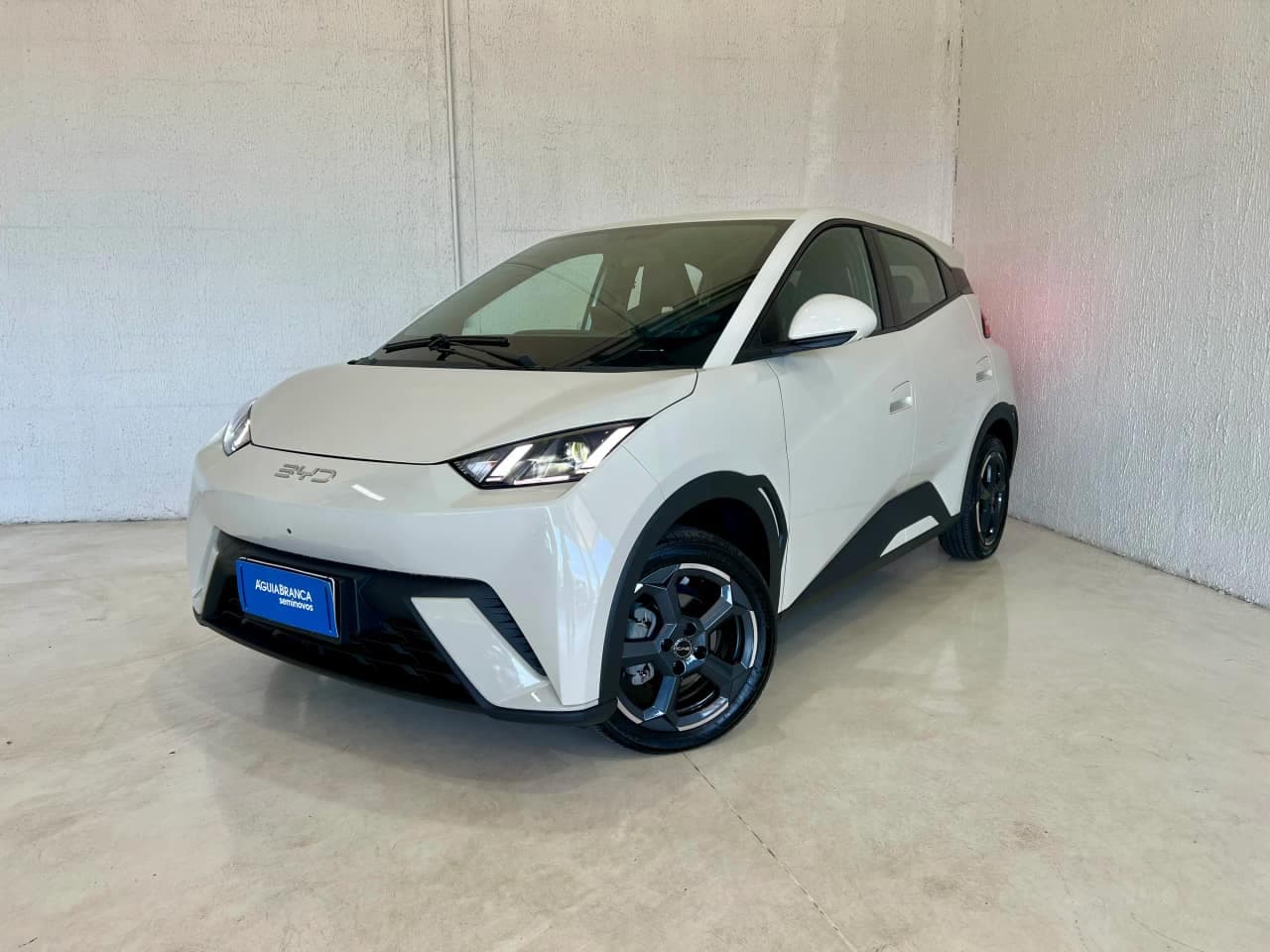 BYD Dolphin 38 KW ELÉTRICO