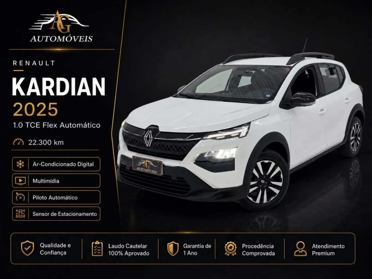 Renault Kardian 1.0 TCE FLEX EVOLUTION MANUAL