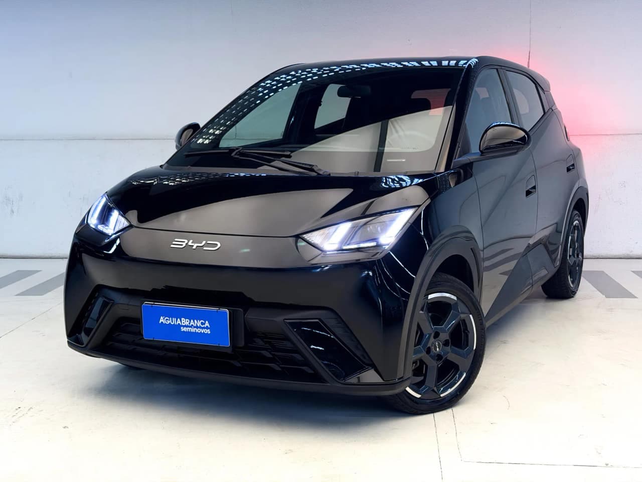 BYD Dolphin 38 KW ELÉTRICO
