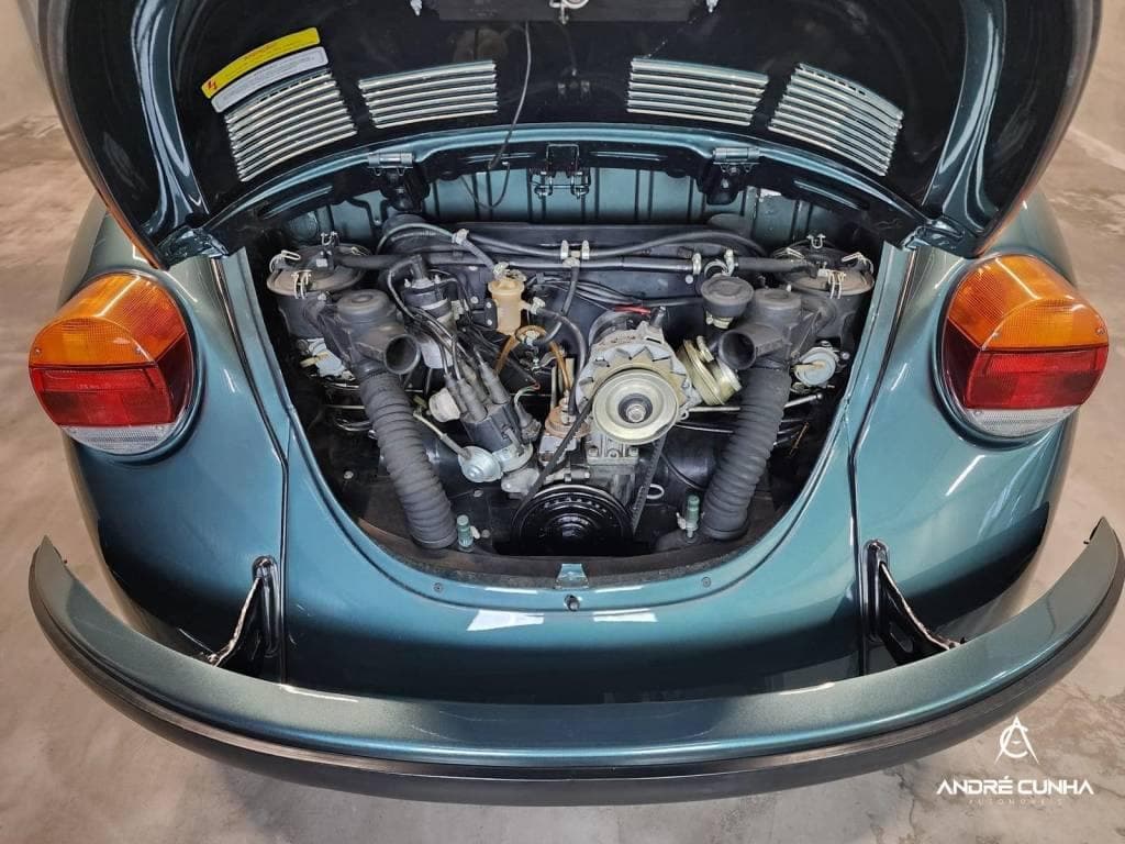 Volkswagen Fusca fusca
