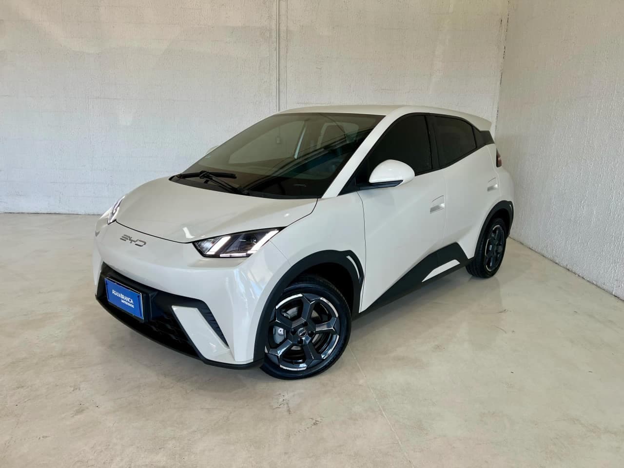 BYD Dolphin 38 KW ELÉTRICO