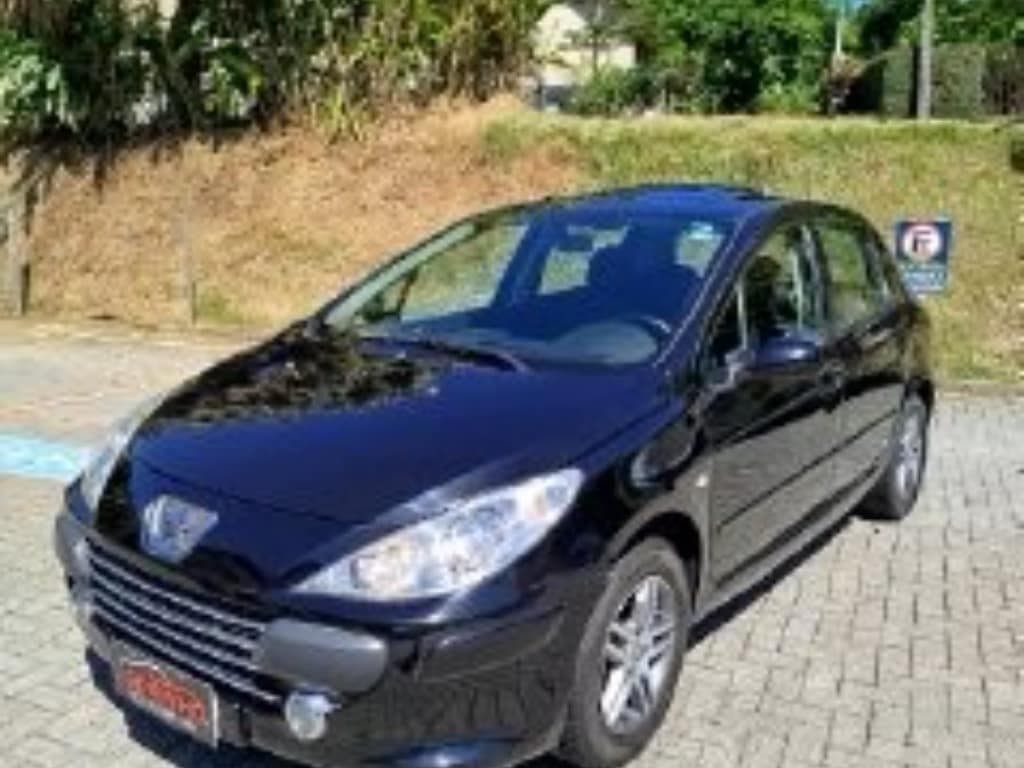 Peugeot 307 PRESENÇE 1.6