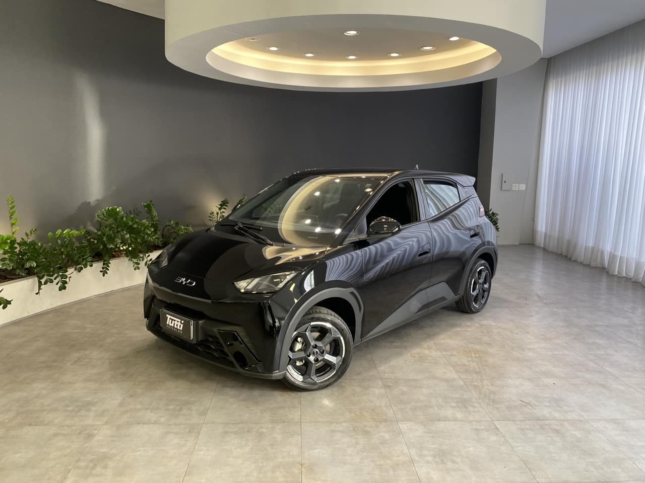 BYD Dolphin GS EV
