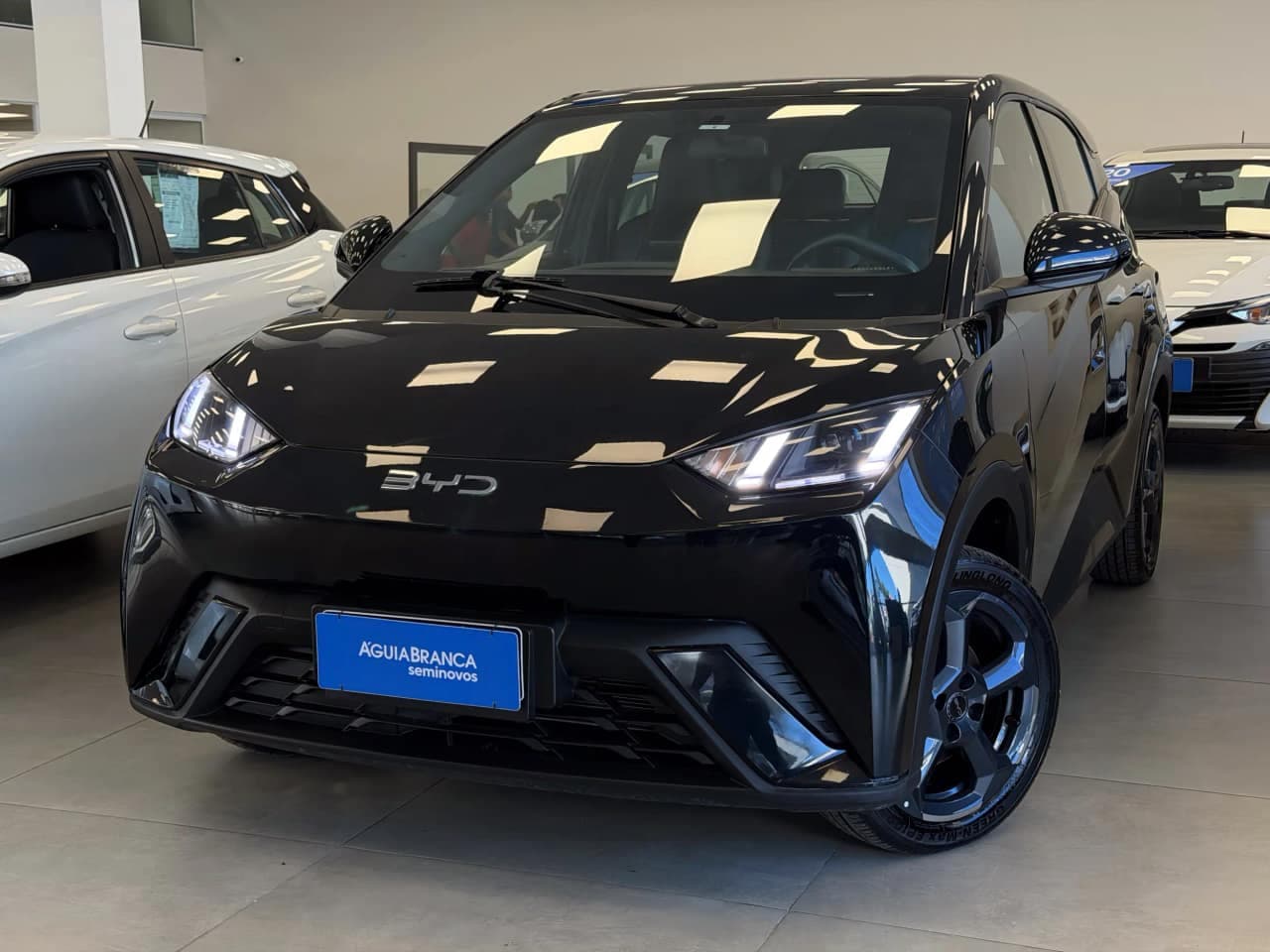 BYD Dolphin 38 KW ELÉTRICO