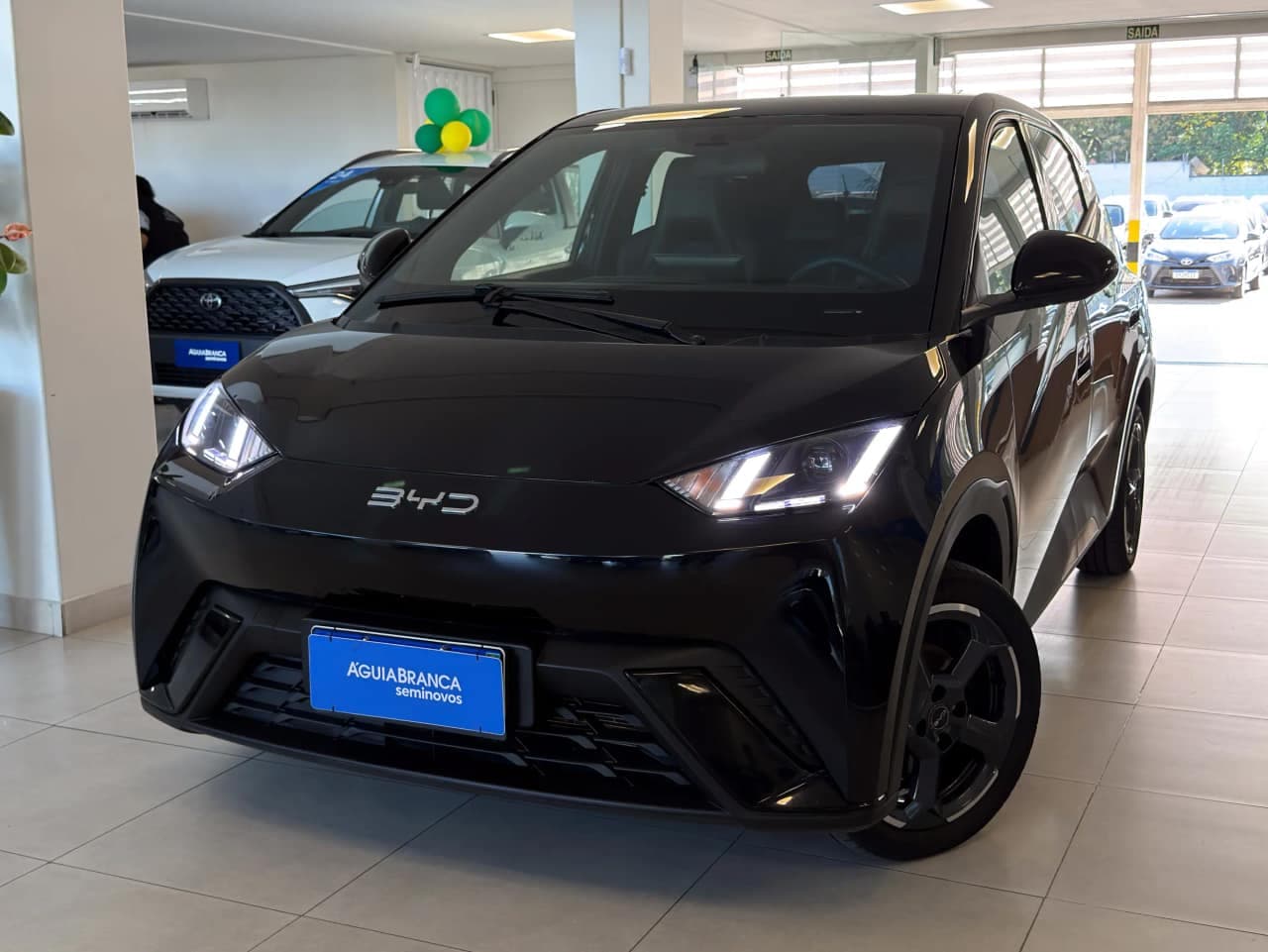 BYD Dolphin 38 KW ELÉTRICO