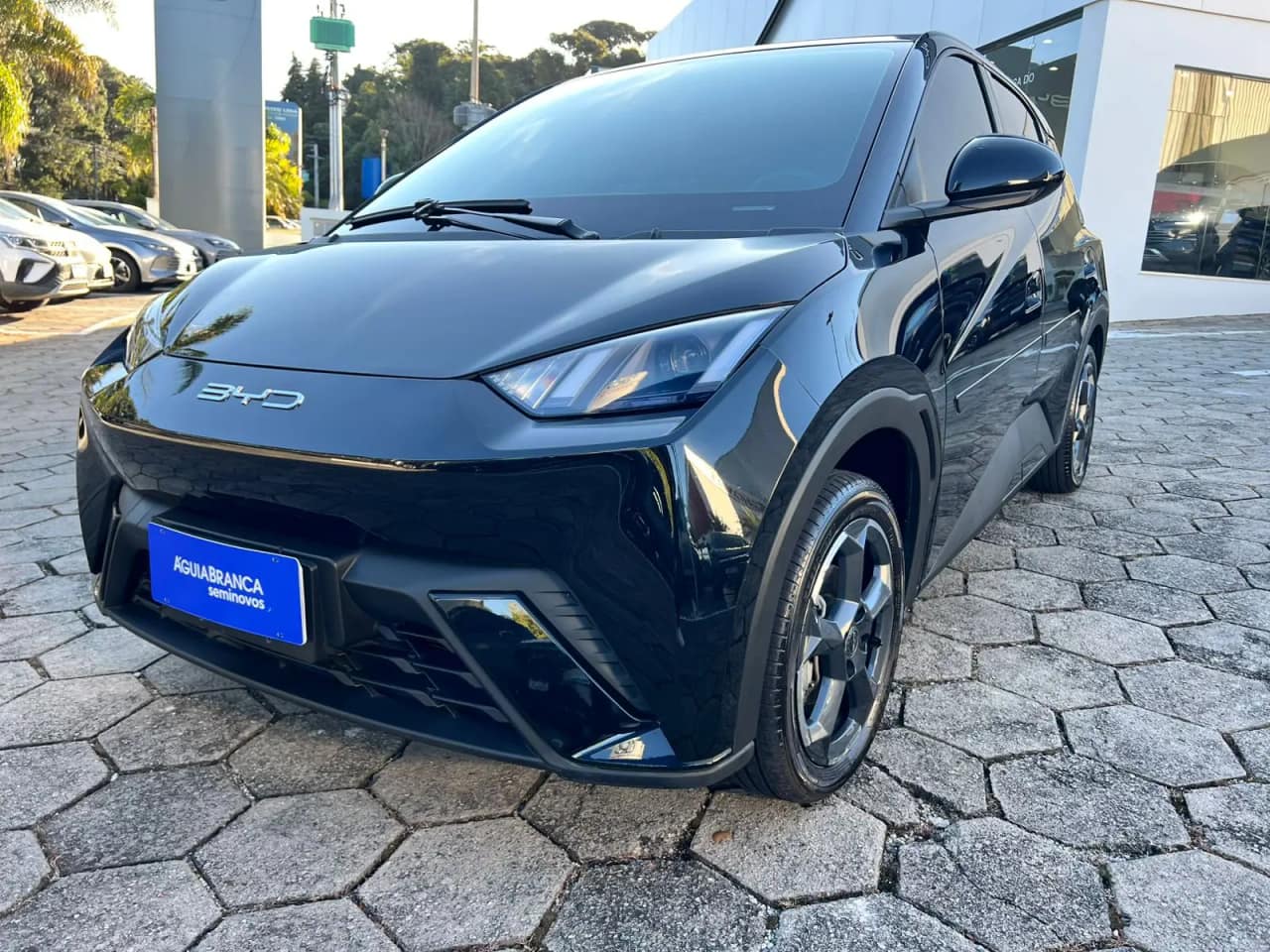 BYD Dolphin 38 KW ELÉTRICO