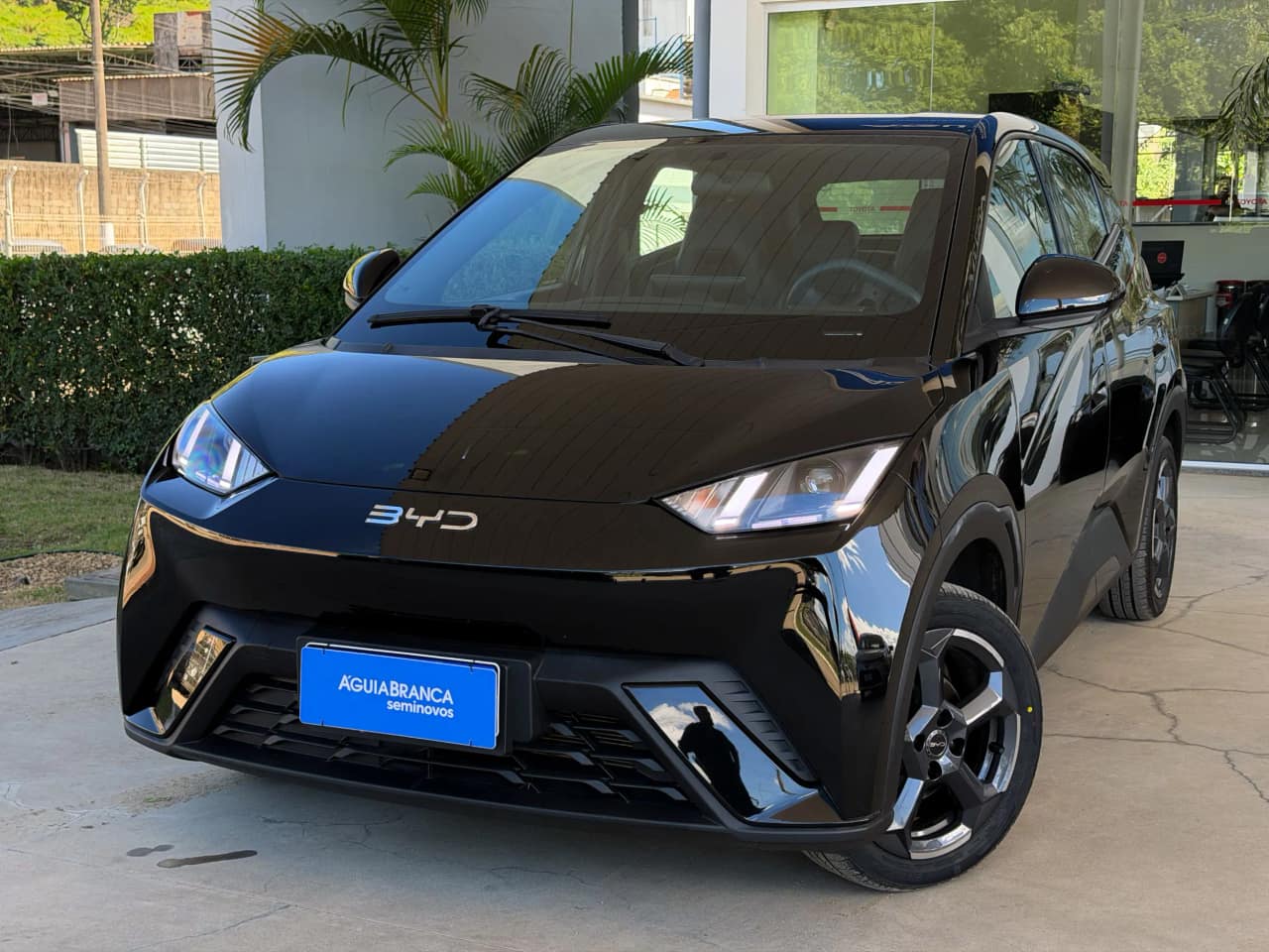 BYD Dolphin 38 KW ELÉTRICO