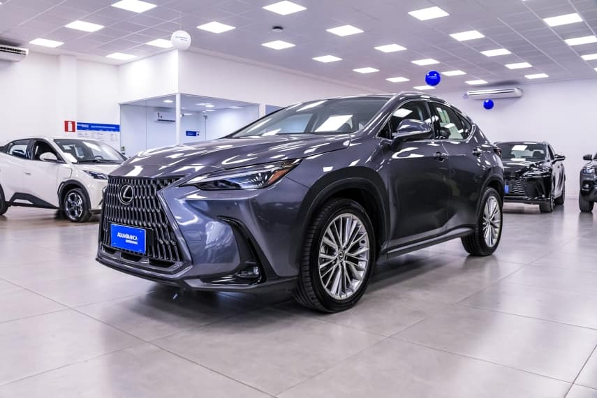 Lexus Nx 2.5 16V VVT-I HYBRID LUXURY CVT AWD